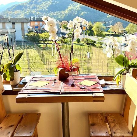 B&B Valtellina Mon Amour Piateda Exterior foto